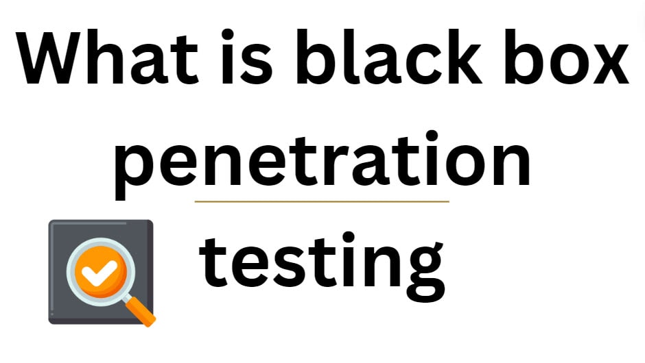 What is black box penetration testing