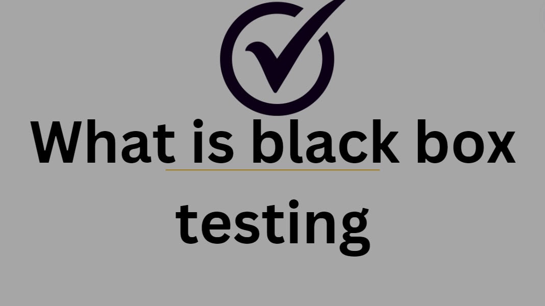 What is black box testing